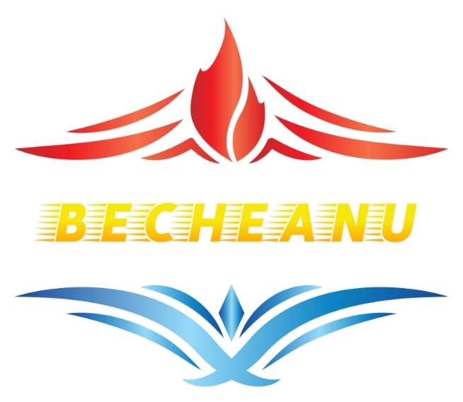 Logo Instal Serv Becheanu